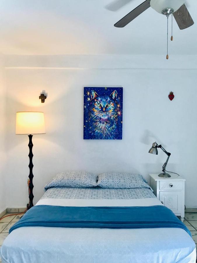 Hotel Posada Senor Manana San José del Cabo Extérieur photo