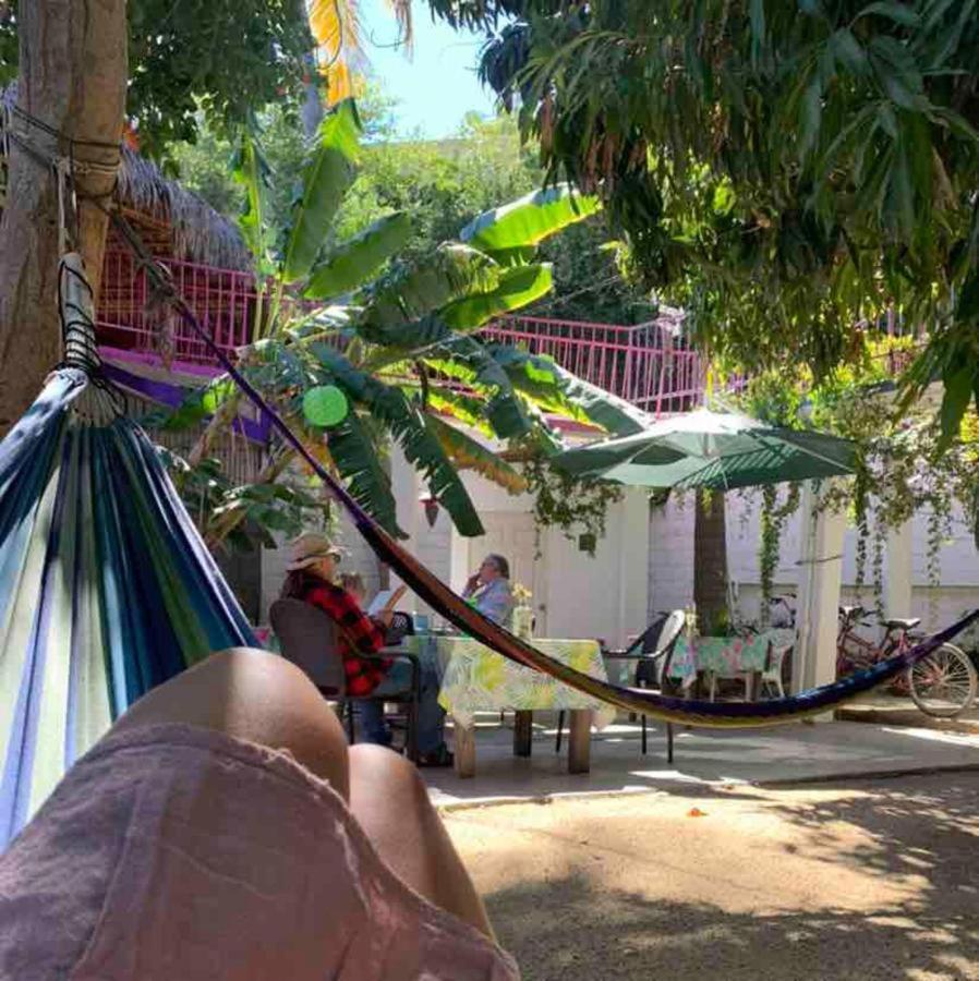Hotel Posada Senor Manana San José del Cabo Extérieur photo